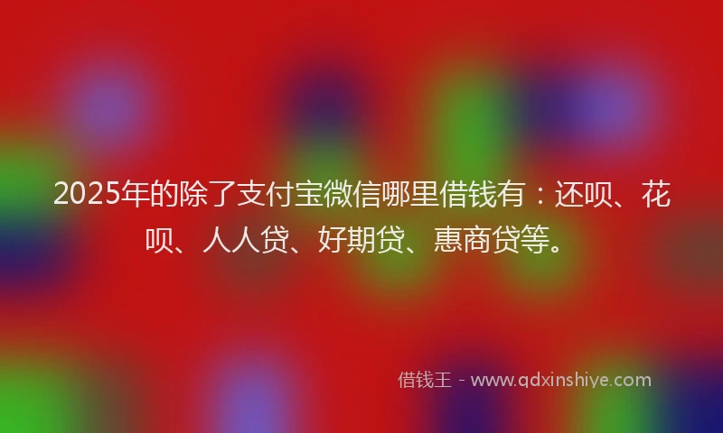 2025年的除了支付宝微信哪里借钱有：还呗、花呗、人人贷、好期贷、惠商贷等。