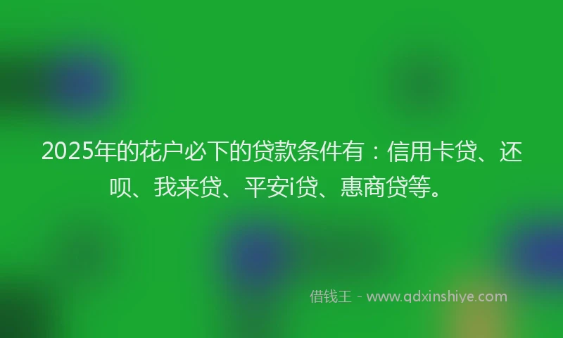 2025年的花户必下的贷款条件有：信用卡贷、还呗、我来贷、平安i贷、惠商贷等。