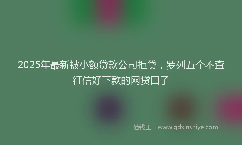 2025年最新被小额贷款公司拒贷，罗列五个不查征信好下款的网贷口子
