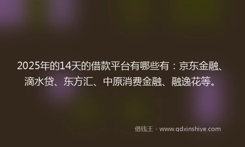 2025年的14天的借款平台有哪些有：京东金融、滴水贷、东方汇、中原消费金融、融逸花等。