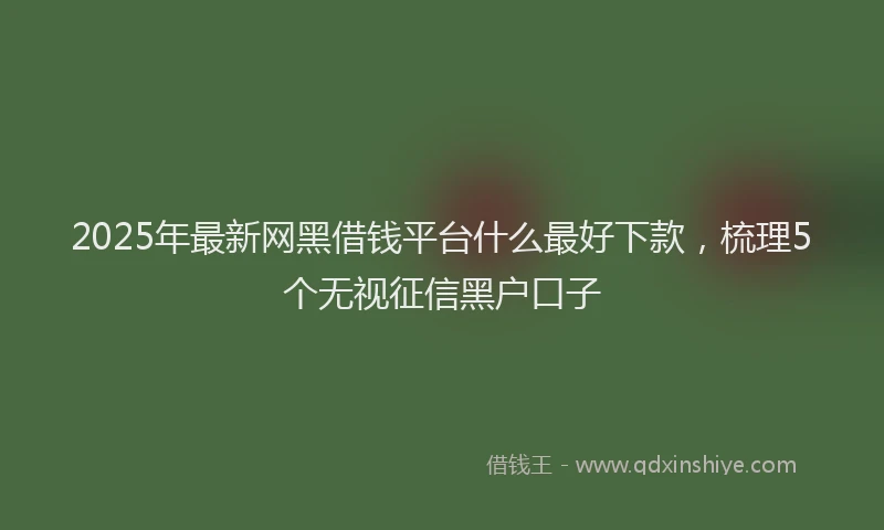 2025年最新网黑借钱平台什么最好下款，梳理5个无视征信黑户口子