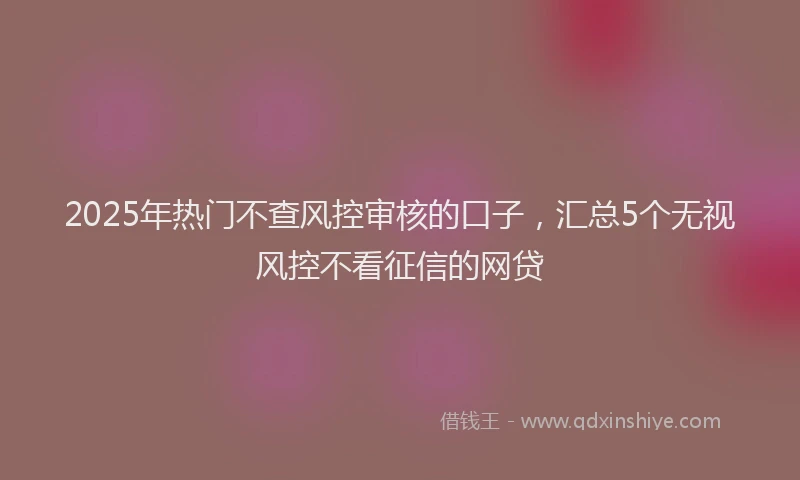 2025年热门不查风控审核的口子，汇总5个无视风控不看征信的网贷