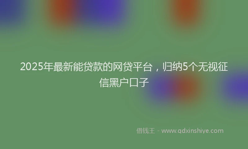 2025年最新能贷款的网贷平台，归纳5个无视征信黑户口子