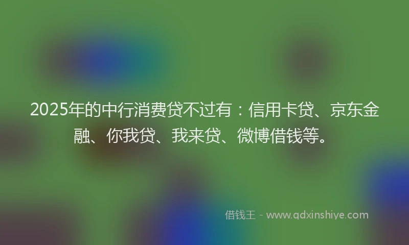 2025年的中行消费贷不过有：信用卡贷、京东金融、你我贷、我来贷、微博借钱等。
