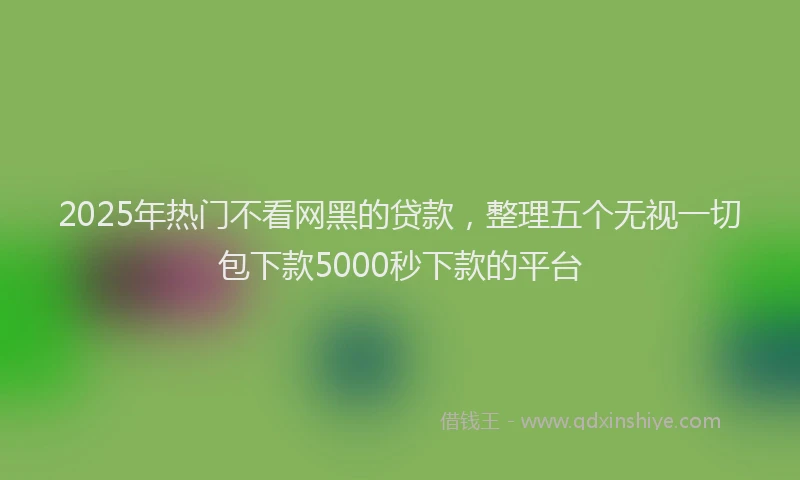 2025年热门不看网黑的贷款，整理五个无视一切包下款5000秒下款的平台