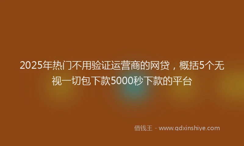 2025年热门不用验证运营商的网贷，概括5个无视一切包下款5000秒下款的平台