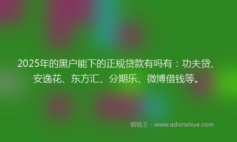 2025年的黑户能下的正规贷款有吗有：功夫贷、安逸花、东方汇、分期乐、微博借钱等。