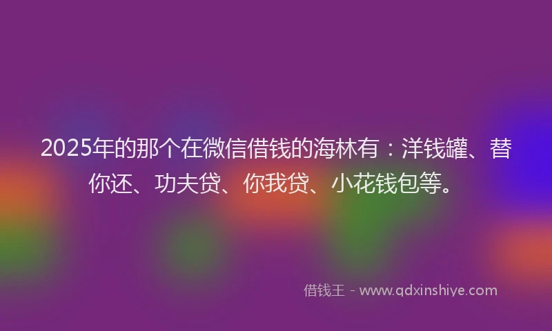 2025年的那个在微信借钱的海林有：洋钱罐、替你还、功夫贷、你我贷、小花钱包等。