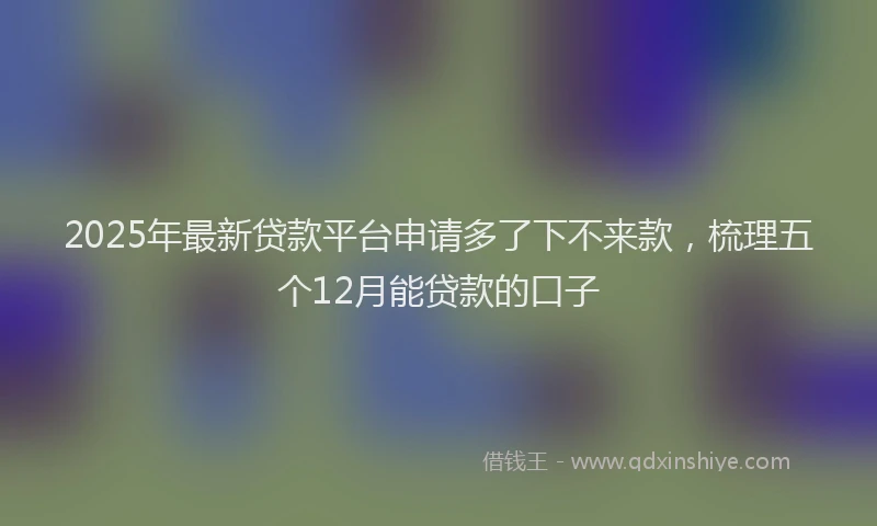 2025年最新贷款平台申请多了下不来款，梳理五个12月能贷款的口子