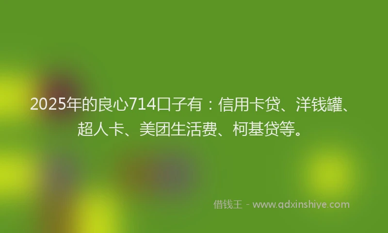 2025年的良心714口子有：信用卡贷、洋钱罐、超人卡、美团生活费、柯基贷等。