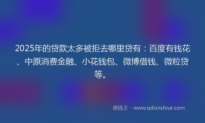 2025年的贷款太多被拒去哪里贷有：百度有钱花、中原消费金融、小花钱包、微博借钱、微粒贷等。