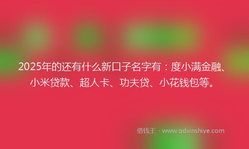 2025年的还有什么新口子名字有：度小满金融、小米贷款、超人卡、功夫贷、小花钱包等。