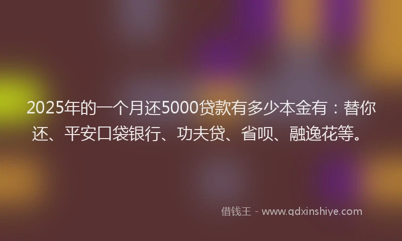 2025年的一个月还5000贷款有多少本金有：替你还、平安口袋银行、功夫贷、省呗、融逸花等。