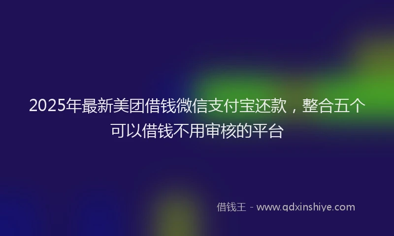 2025年最新美团借钱微信支付宝还款，整合五个可以借钱不用审核的平台
