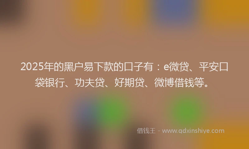 2025年的黑户易下款的口子有：e微贷、平安口袋银行、功夫贷、好期贷、微博借钱等。