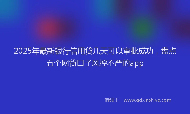 2025年最新银行信用贷几天可以审批成功，盘点五个网贷口子风控不严的app