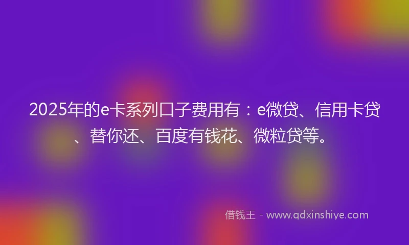 2025年的e卡系列口子费用有：e微贷、信用卡贷、替你还、百度有钱花、微粒贷等。