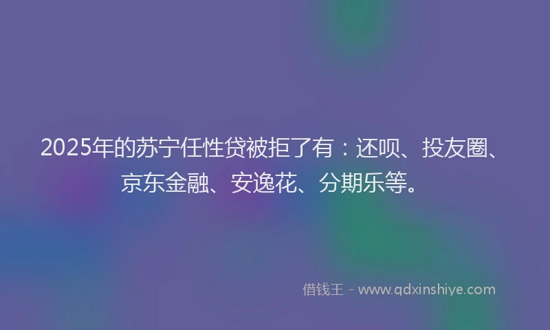 2025年的苏宁任性贷被拒了有：还呗、投友圈、京东金融、安逸花、分期乐等。