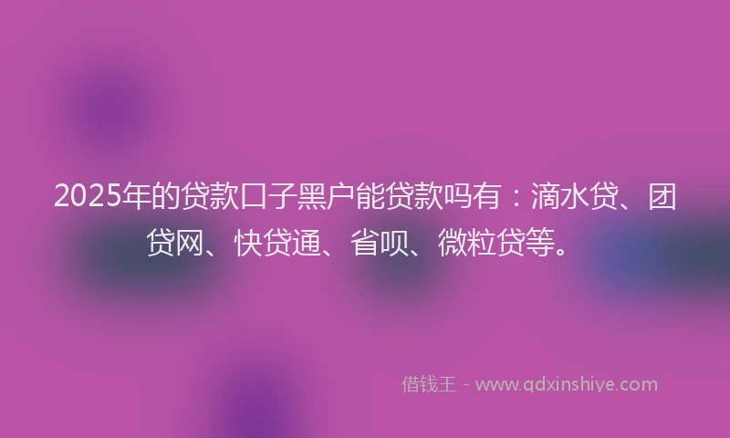 2025年的贷款口子黑户能贷款吗有：滴水贷、团贷网、快贷通、省呗、微粒贷等。