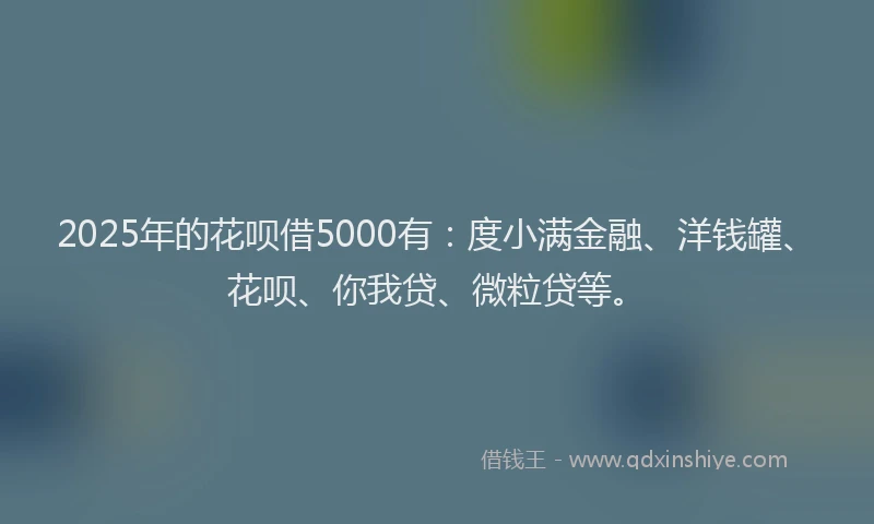 2025年的花呗借5000有：度小满金融、洋钱罐、花呗、你我贷、微粒贷等。