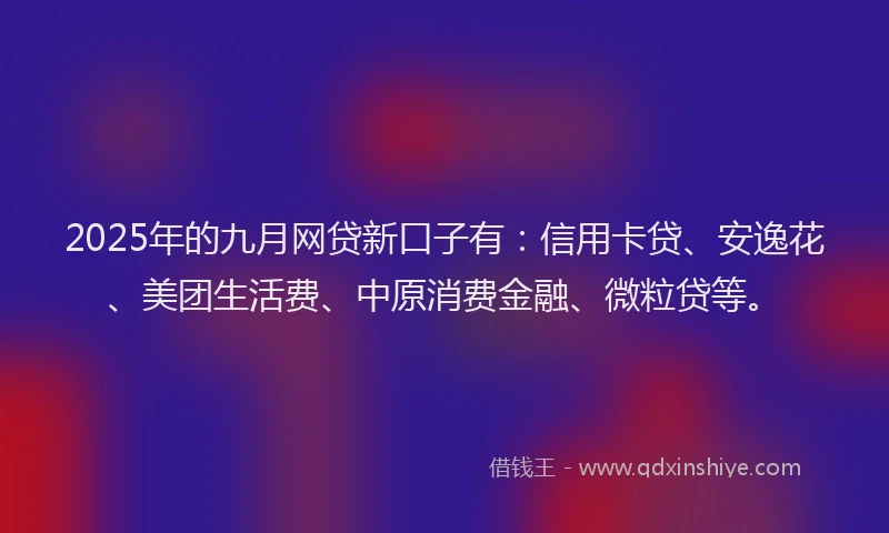 2025年的九月网贷新口子有：信用卡贷、安逸花、美团生活费、中原消费金融、微粒贷等。