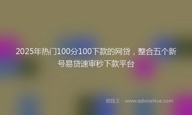 2025年热门100分100下款的网贷，整合五个新号易贷速审秒下款平台