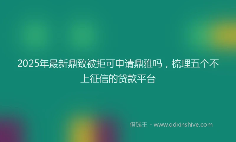 2025年最新鼎致被拒可申请鼎雅吗，梳理五个不上征信的贷款平台
