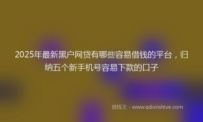 2025年最新黑户网贷有哪些容易借钱的平台，归纳五个新手机号容易下款的口子