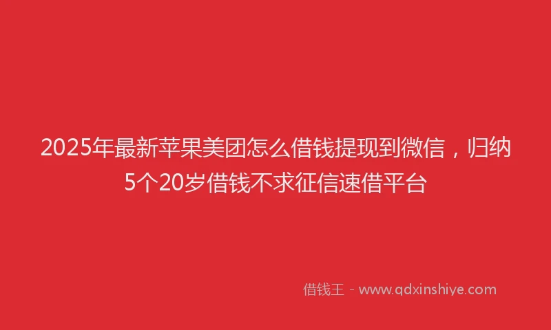 2025年最新苹果美团怎么借钱提现到微信，归纳5个20岁借钱不求征信速借平台