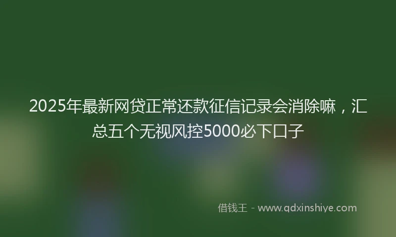 2025年最新网贷正常还款征信记录会消除嘛，汇总五个无视风控5000必下口子