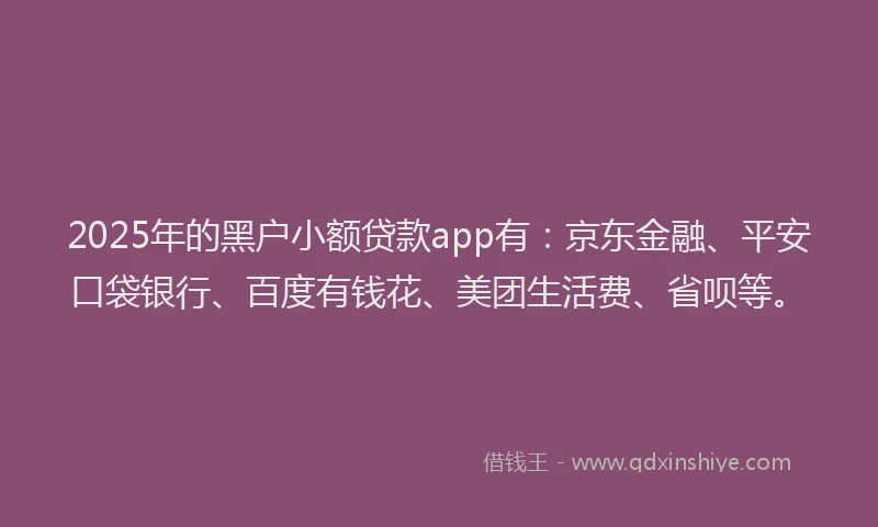 2025年的黑户小额贷款app有：京东金融、平安口袋银行、百度有钱花、美团生活费、省呗等。