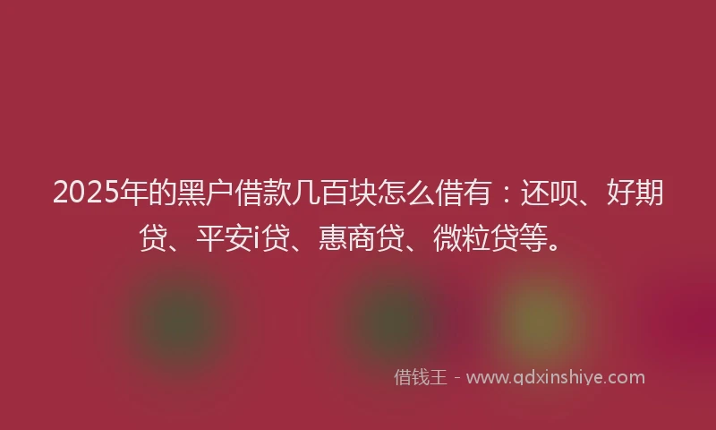 2025年的黑户借款几百块怎么借有：还呗、好期贷、平安i贷、惠商贷、微粒贷等。