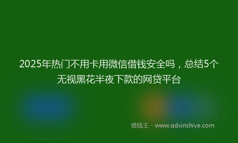 2025年热门不用卡用微信借钱安全吗，总结5个无视黑花半夜下款的网贷平台