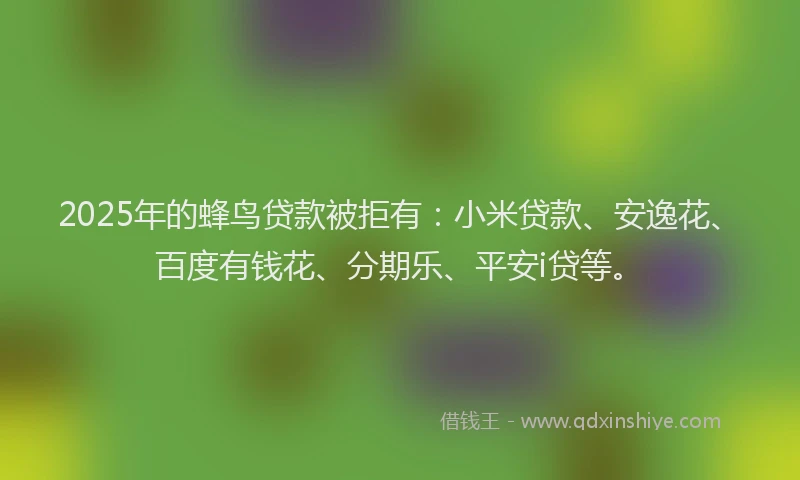 2025年的蜂鸟贷款被拒有：小米贷款、安逸花、百度有钱花、分期乐、平安i贷等。