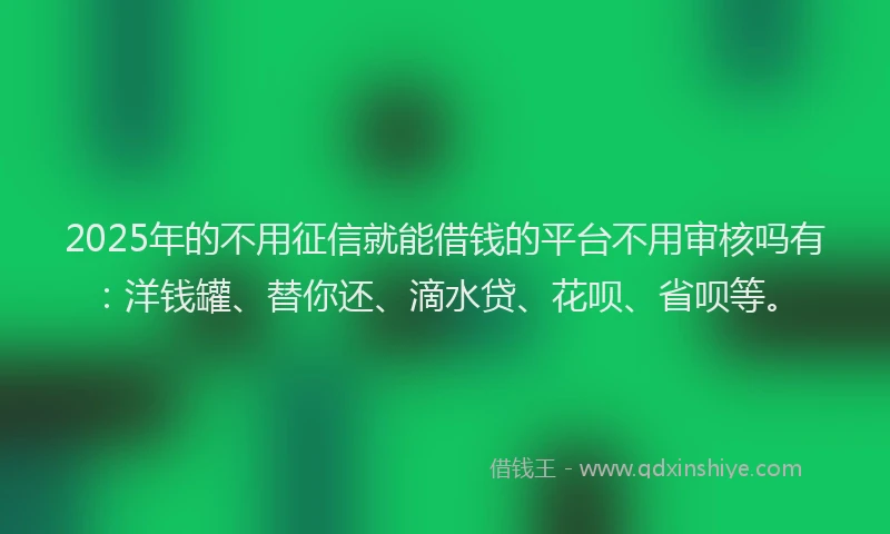 2025年的不用征信就能借钱的平台不用审核吗有：洋钱罐、替你还、滴水贷、花呗、省呗等。