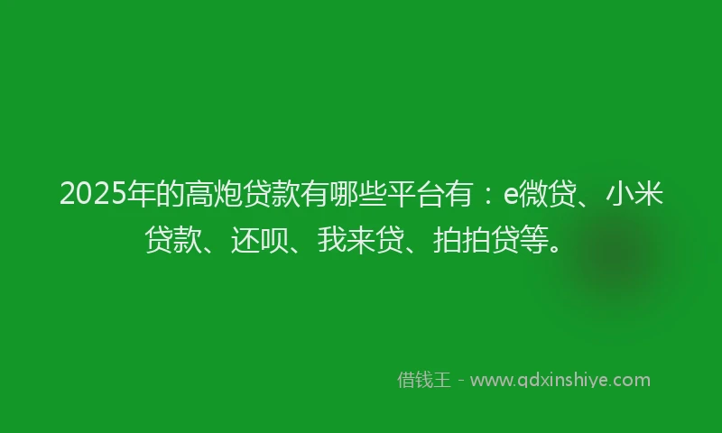 2025年的高炮贷款有哪些平台有：e微贷、小米贷款、还呗、我来贷、拍拍贷等。