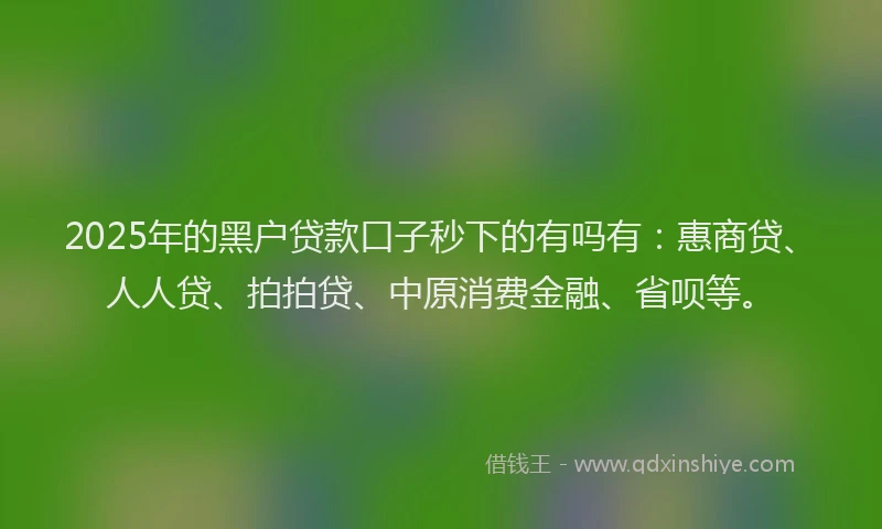2025年的黑户贷款口子秒下的有吗有：惠商贷、人人贷、拍拍贷、中原消费金融、省呗等。
