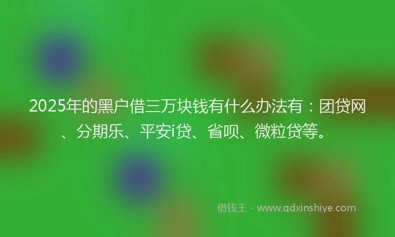 2025年的黑户借三万块钱有什么办法有：团贷网、分期乐、平安i贷、省呗、微粒贷等。