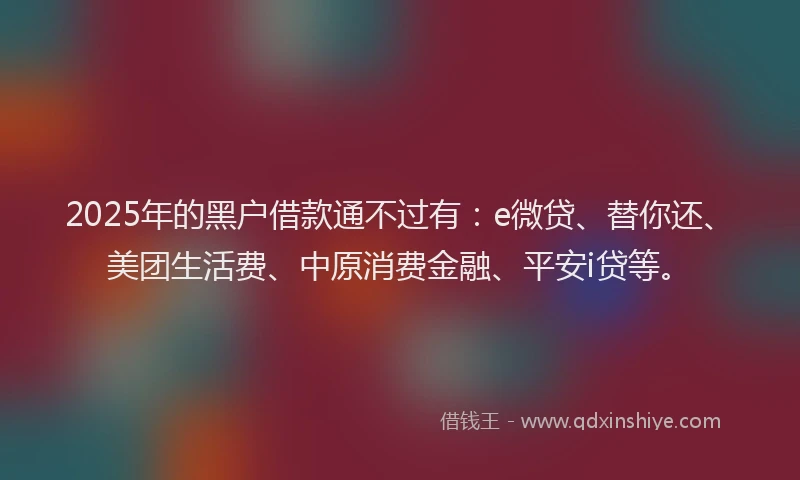 2025年的黑户借款通不过有：e微贷、替你还、美团生活费、中原消费金融、平安i贷等。