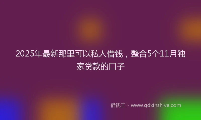 2025年最新那里可以私人借钱，整合5个11月独家贷款的口子