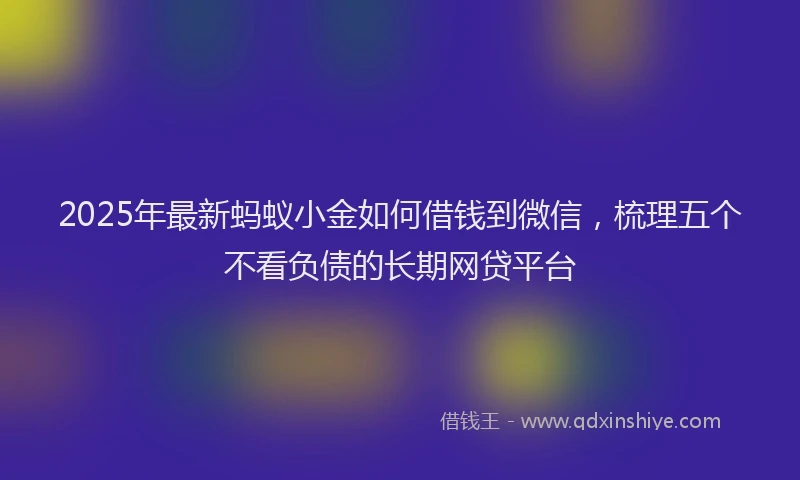 2025年最新蚂蚁小金如何借钱到微信，梳理五个不看负债的长期网贷平台