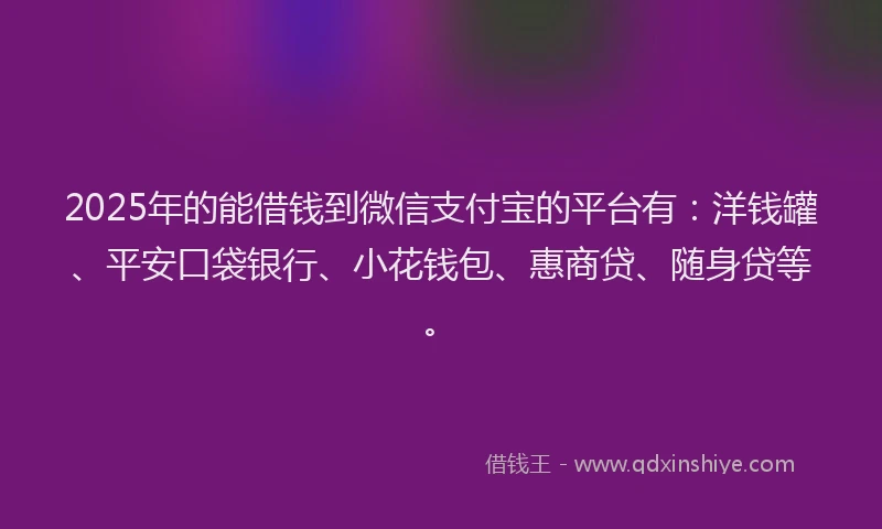 2025年的能借钱到微信支付宝的平台有：洋钱罐、平安口袋银行、小花钱包、惠商贷、随身贷等。