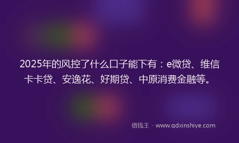 2025年的风控了什么口子能下有：e微贷、维信卡卡贷、安逸花、好期贷、中原消费金融等。