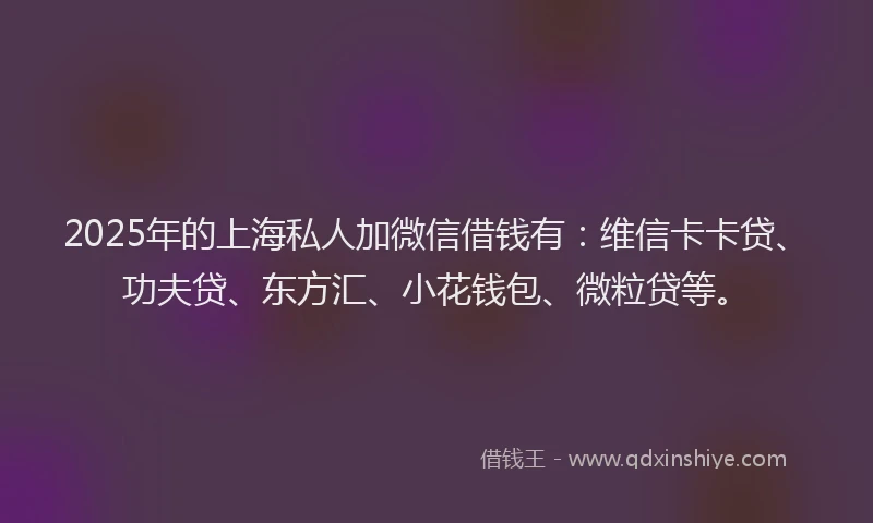 2025年的上海私人加微信借钱有：维信卡卡贷、功夫贷、东方汇、小花钱包、微粒贷等。