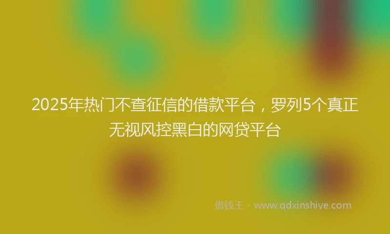 2025年热门不查征信的借款平台，罗列5个真正无视风控黑白的网贷平台