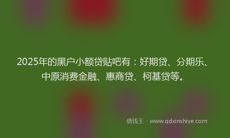 2025年的黑户小额贷贴吧有：好期贷、分期乐、中原消费金融、惠商贷、柯基贷等。
