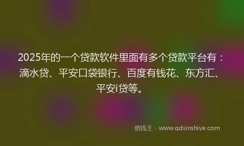 2025年的一个贷款软件里面有多个贷款平台有：滴水贷、平安口袋银行、百度有钱花、东方汇、平安i贷等。