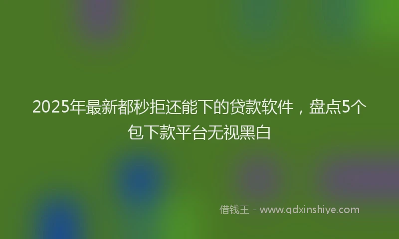 2025年最新都秒拒还能下的贷款软件，盘点5个包下款平台无视黑白