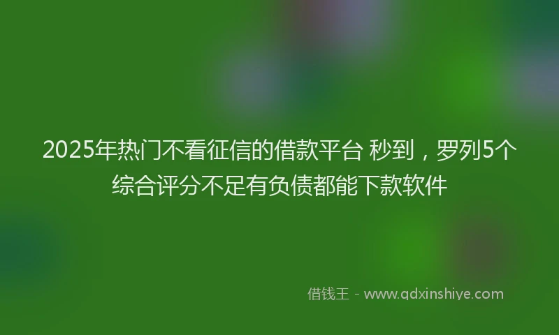 2025年热门不看征信的借款平台 秒到，罗列5个综合评分不足有负债都能下款软件
