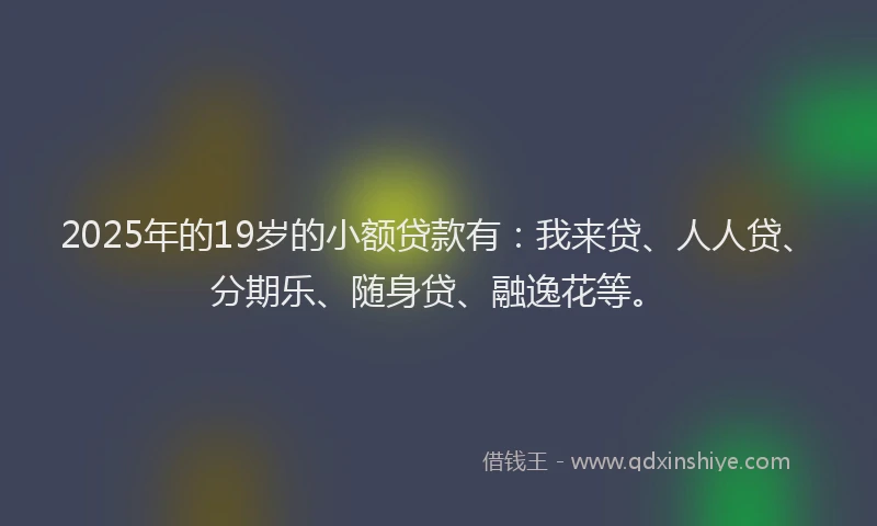 2025年的19岁的小额贷款有：我来贷、人人贷、分期乐、随身贷、融逸花等。